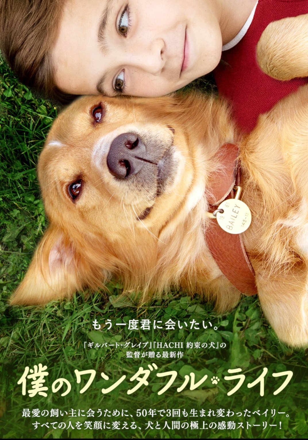 僕のワンダフル・ライフのポスター
